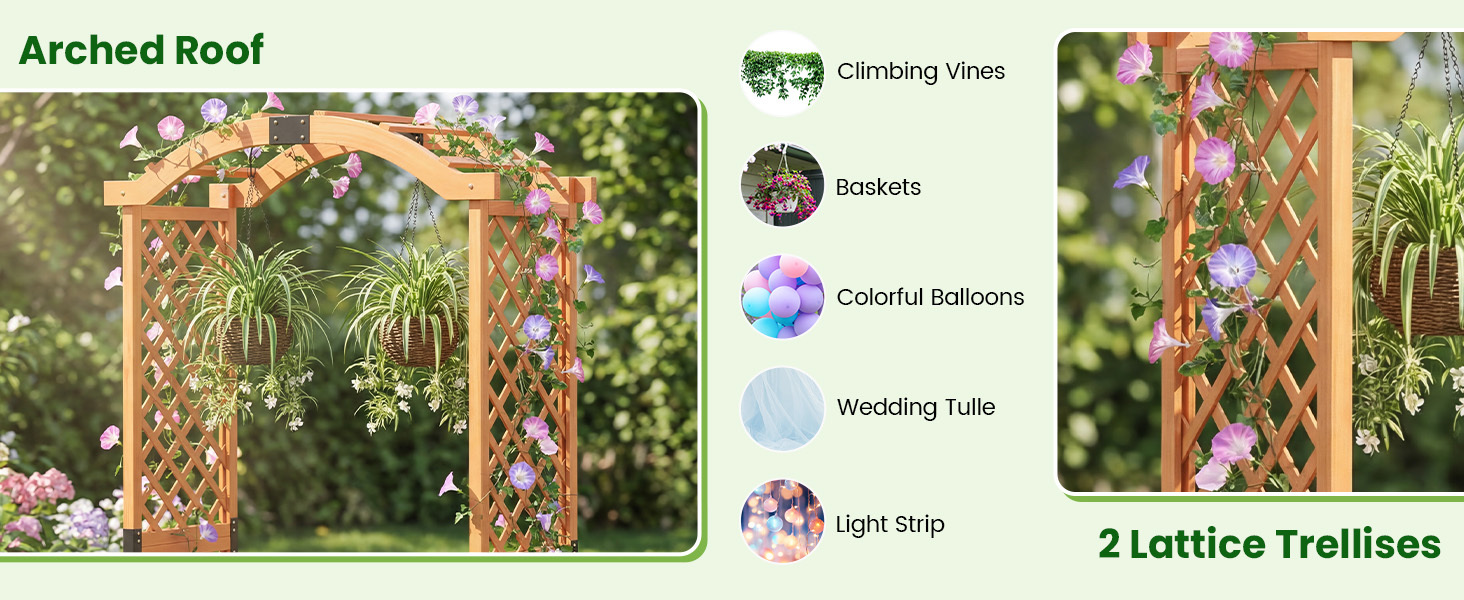 plants for hanging terrarium Shop Handmade hanging Artistic Clear Glass  NCYPgarden